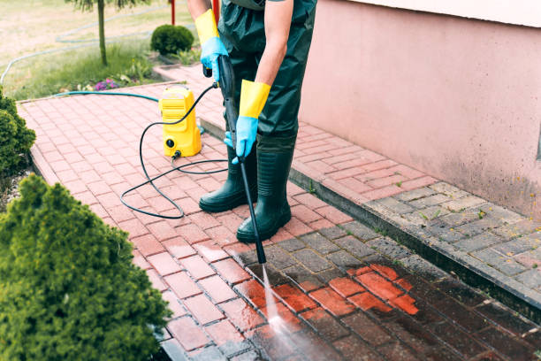 Best Playground Equipment Cleaning  in Lindstrom, MN